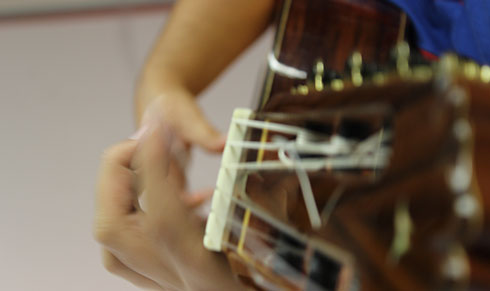 flamenco.jpg